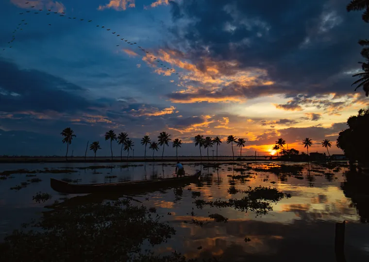 Munnar, Thekkady & Alleppey
