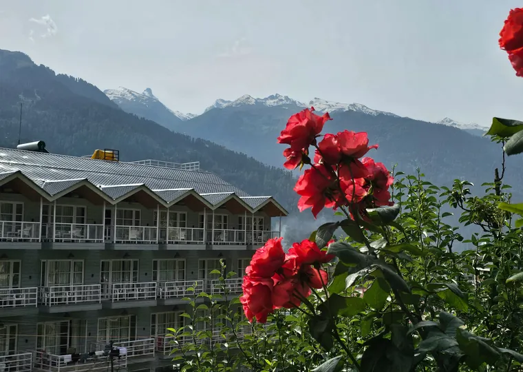 Shimla & Manali